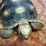 phoca_thumb_m_elva 10 Fotogalerie